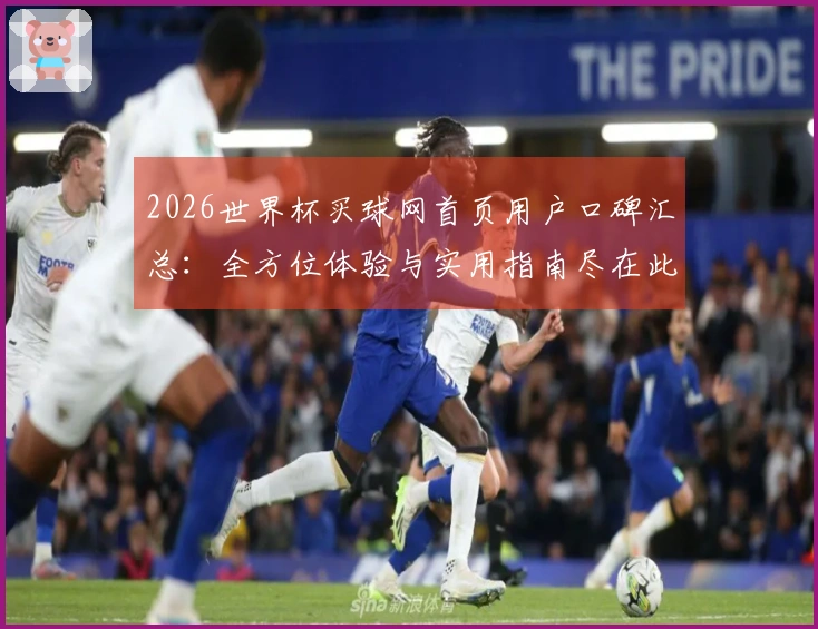 2026世界杯买球网首页用户口碑汇总：全方位体验与实用指南尽在此处