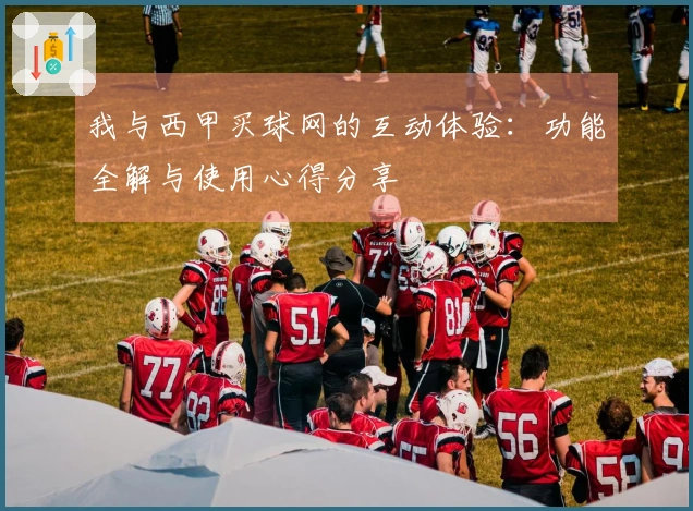 我与西甲买球网的互动体验：功能全解与使用心得分享