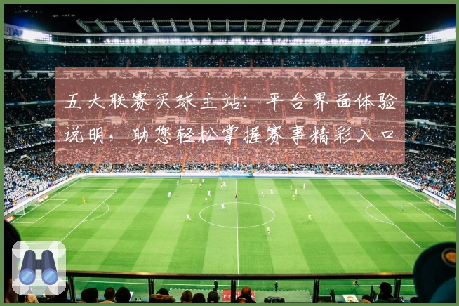 五大联赛买球主站：平台界面体验说明，助您轻松掌握赛事精彩入口