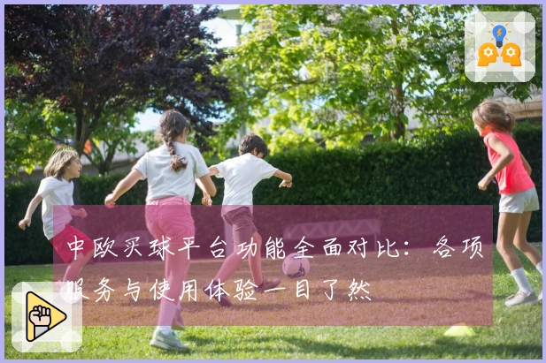 中欧买球平台功能全面对比：各项服务与使用体验一目了然