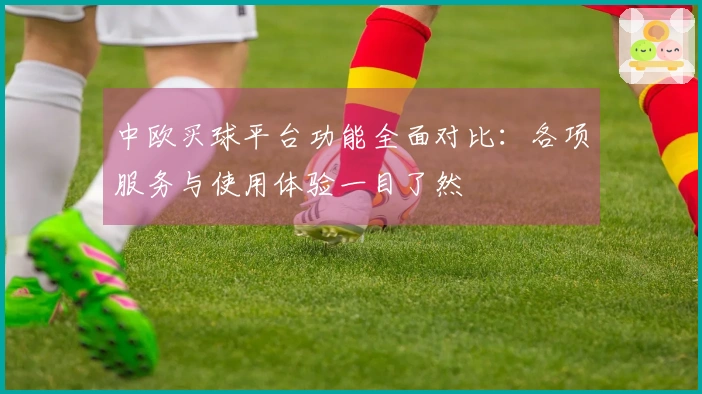 中欧买球平台功能全面对比：各项服务与使用体验一目了然
