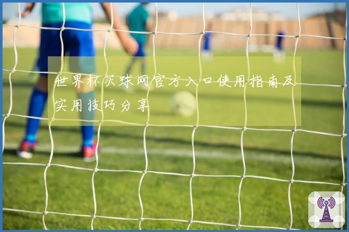 世界杯买球网官方入口使用指南及实用技巧分享