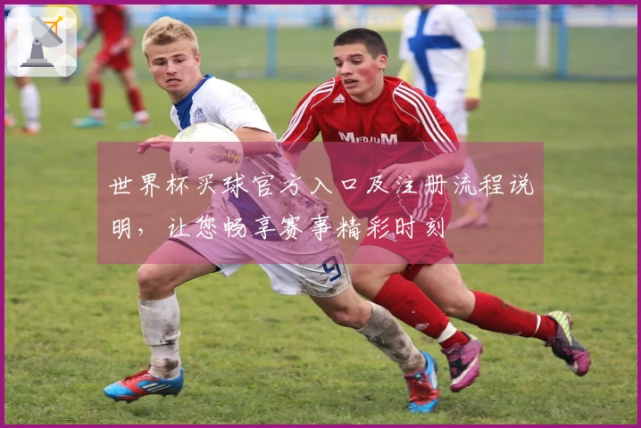 世界杯买球官方入口及注册流程说明，让您畅享赛事精彩时刻