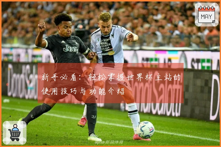 新手必看：轻松掌握世界杯主站的使用技巧与功能介绍