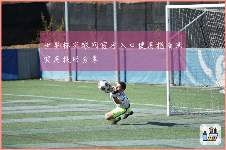 世界杯买球网官方入口使用指南及实用技巧分享