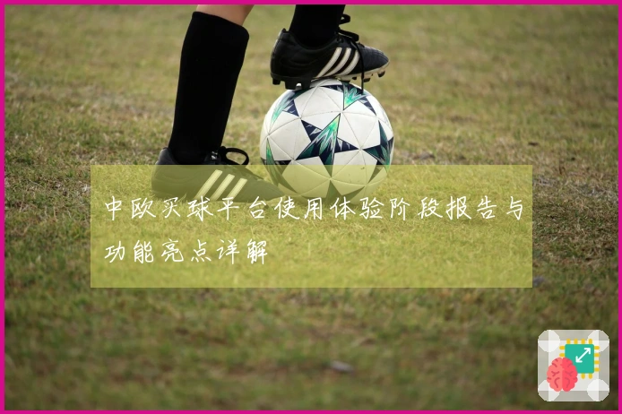 中欧买球平台使用体验阶段报告与功能亮点详解