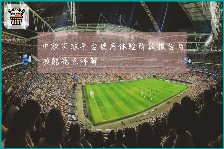 中欧买球平台使用体验阶段报告与功能亮点详解