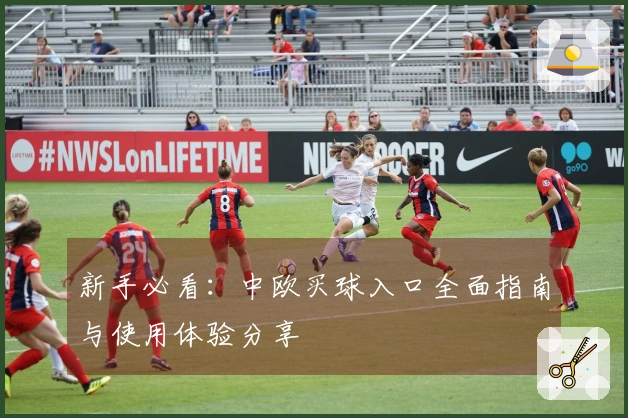 新手必看：中欧买球入口全面指南与使用体验分享