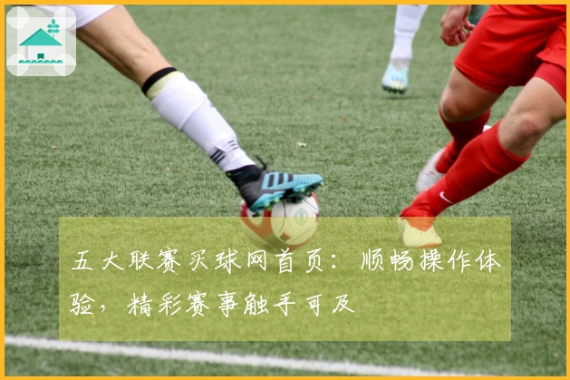 五大联赛买球网首页：顺畅操作体验，精彩赛事触手可及