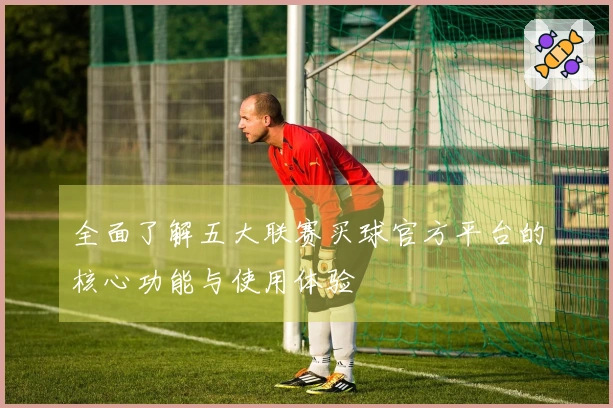 全面了解五大联赛买球官方平台的核心功能与使用体验