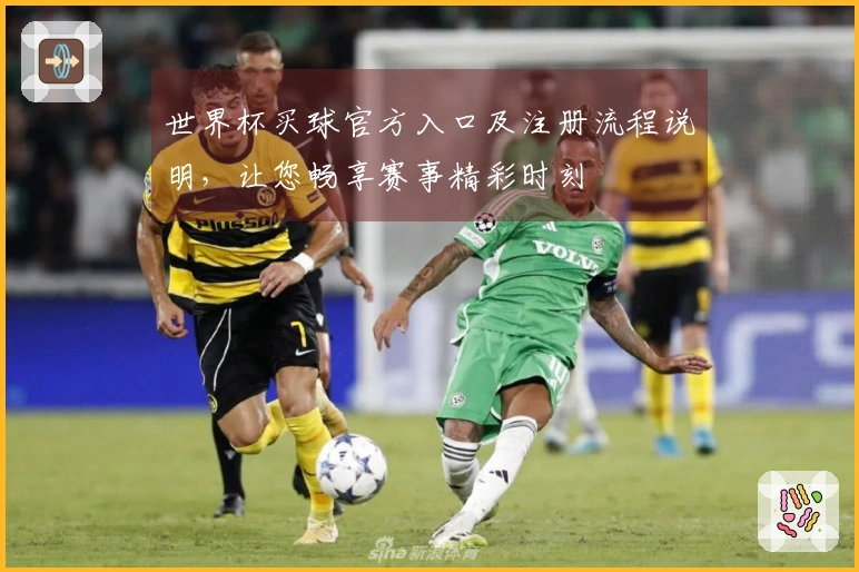 世界杯买球官方入口及注册流程说明，让您畅享赛事精彩时刻