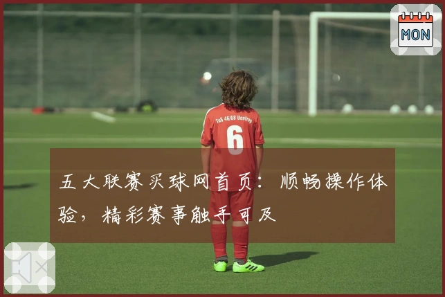 五大联赛买球网首页：顺畅操作体验，精彩赛事触手可及